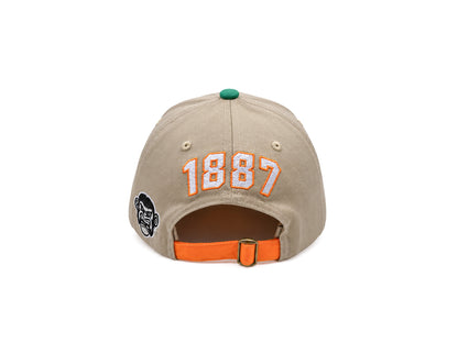 Rattlers dad hat