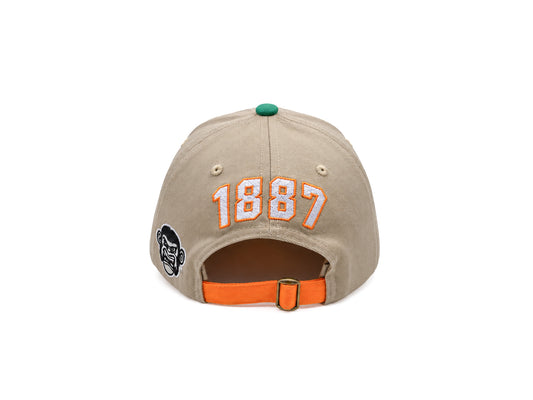 Rattlers dad hat