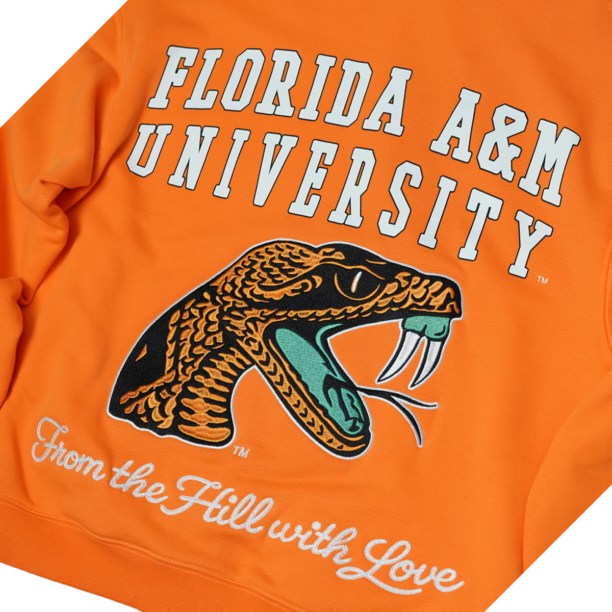 Famu Boxy Hoodie