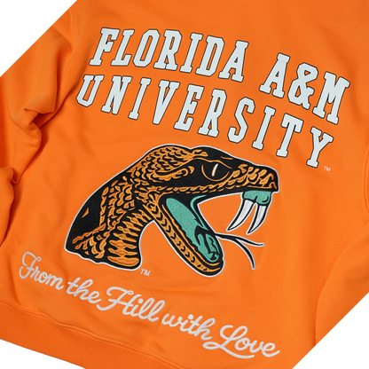 Famu Boxy Hoodie